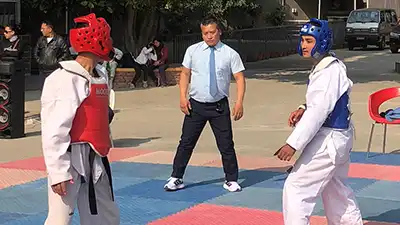 teakwondo