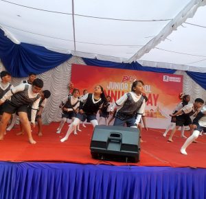 BVS Junior Annual Day 2024 2